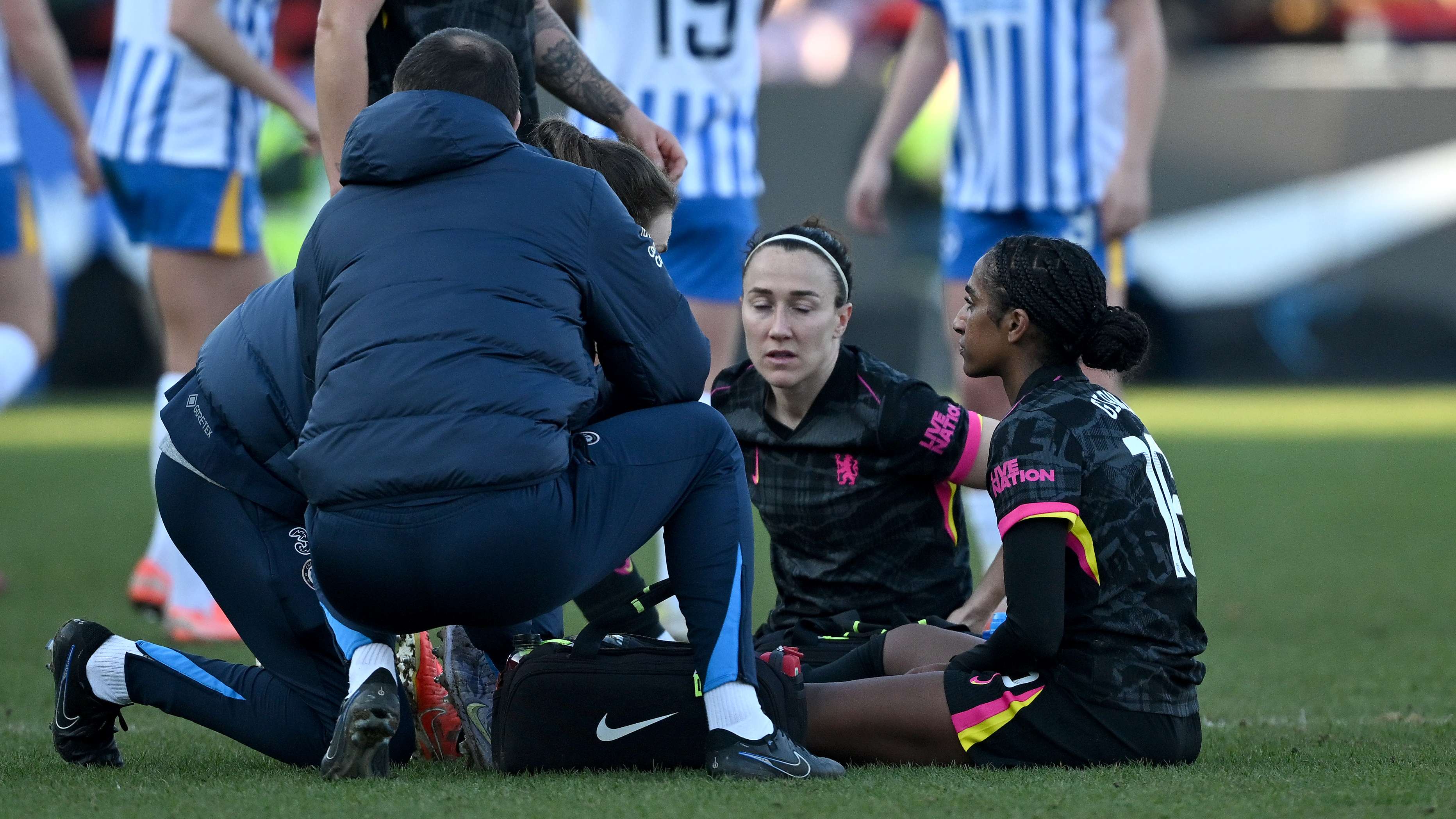 众见证了他 众见证了他