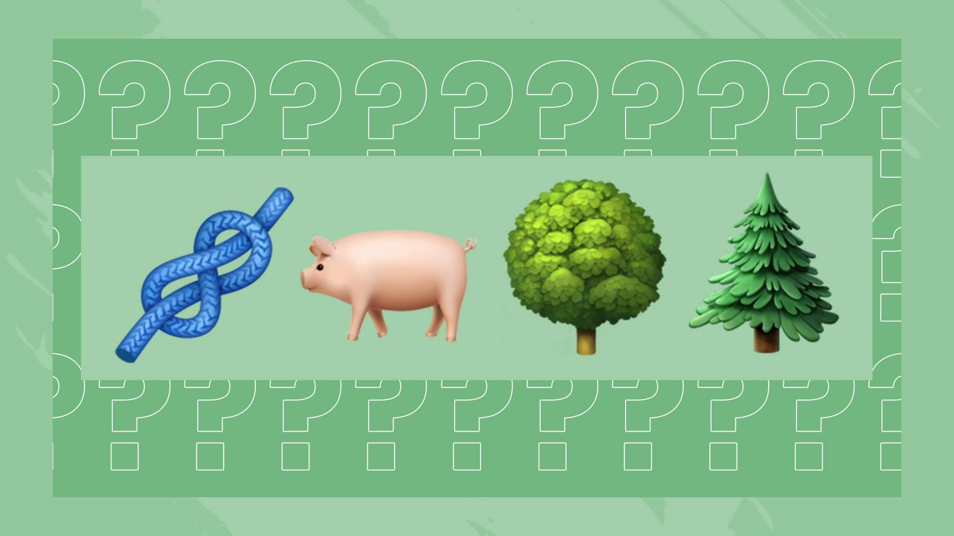 对球队的弱 对球队的弱