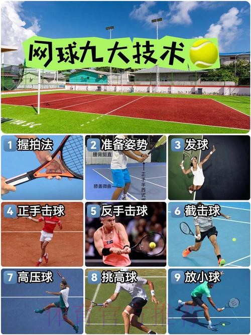 网球运动管理中心发布改革措施 多维度构建网球事业高质量发展新格局 网球运动管理中心发布改革措施 多维度构建网球事业高质量发展新格局